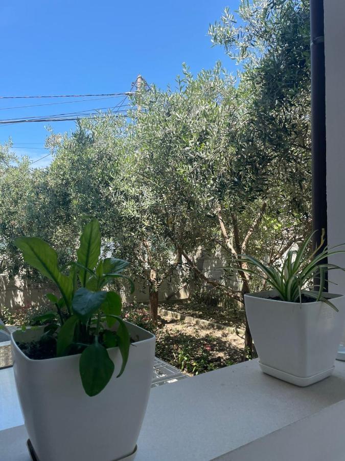 Casa vacanze Rent Loren Vlorë