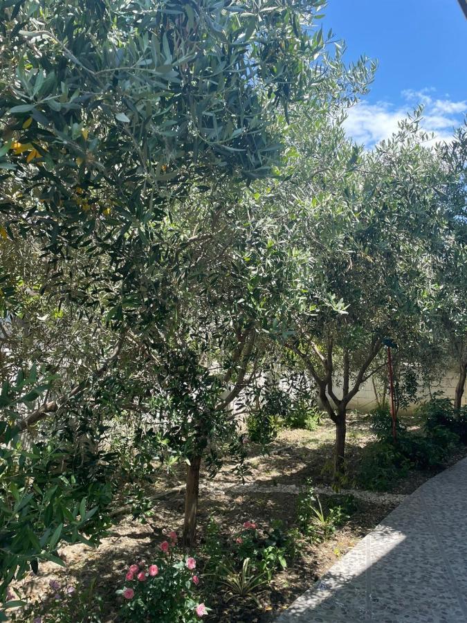 Casa vacanze Rent Loren Vlorë